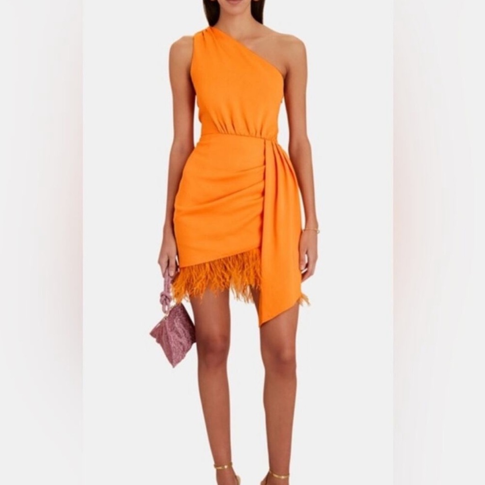 Saylor •revolve•mini dress with feathers